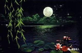 今晚月色真美 吃瓜,揭秘“今晚月色真美”背后的故事