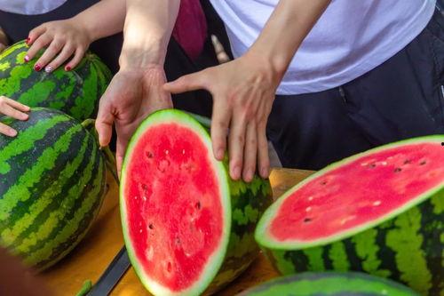 6.27吃瓜日,一场全民狂欢的瓜界盛宴