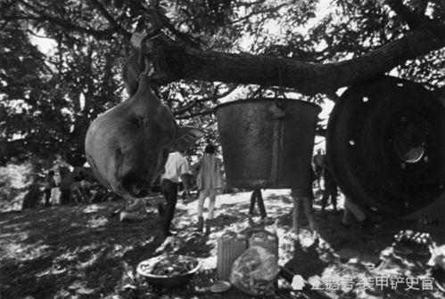 小野日本吃瓜,揭秘日本娱乐圈的吃瓜盛宴