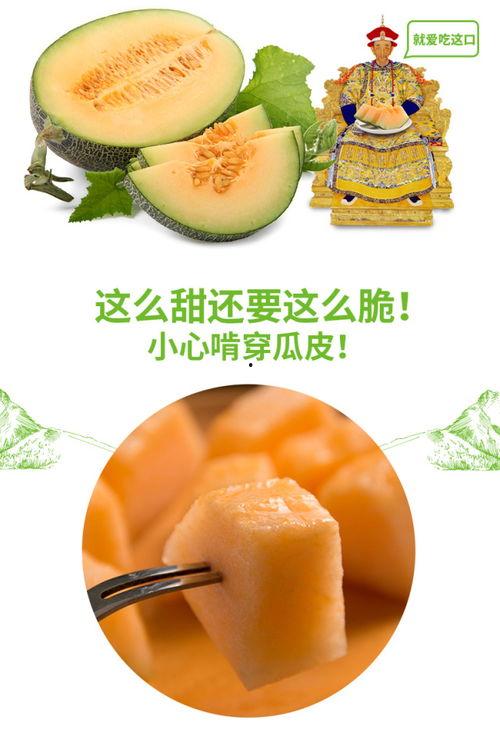 文文吃蜜瓜,蜜瓜美食之旅