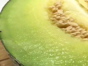 小说淡定吃瓜,一部轻松幽默的小说之旅