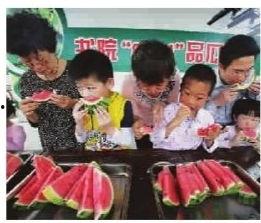 男女吃瓜大比拼,男女吃瓜大比拼，谁才是真正的“瓜王”？