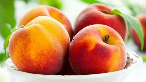 吃瓜桃桃,揭秘娱乐圈那些不为人知的幕后故事