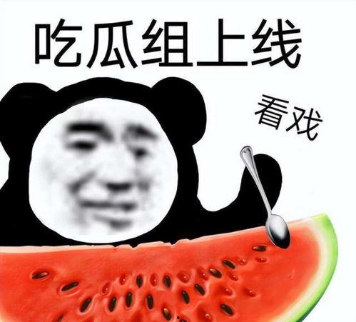 吃瓜被挖掉脑子视频,吃瓜群众不慎被挖掉脑子，视频曝光引发社会热议