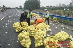 许昌学院吃瓜群众,吃瓜群众视角下的校园生活剪影