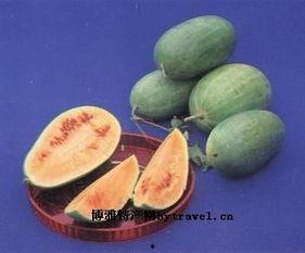 蛤蟆吃瓜图文,一场趣味横生的夏日盛宴