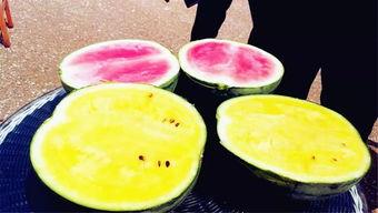 瓜兄吃瓜爆料,揭秘娱乐圈幕后真相