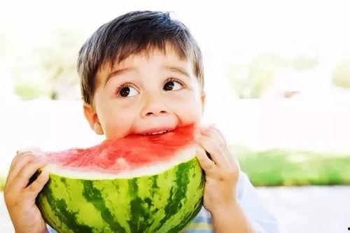 云宝吃瓜小说,揭秘娱乐圈背后的秘密与真相