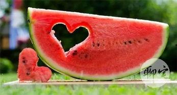 抓紧吃瓜,抓紧时间，一起品尝新鲜热辣的瓜果时光