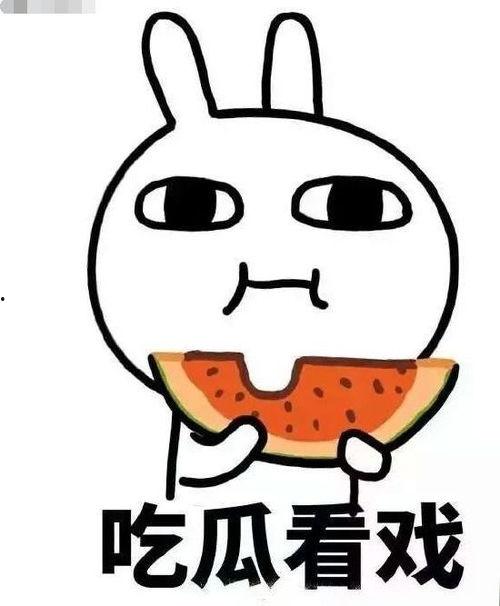 吃瓜boom,揭秘网络热词背后的文化现象