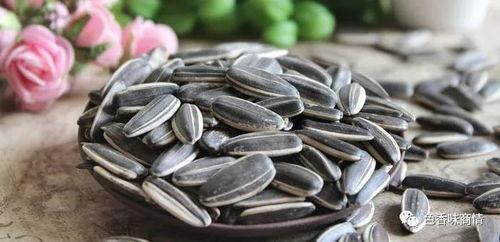 吃瓜嗑瓜子图,揭秘吃瓜嗑瓜子的趣味瞬间