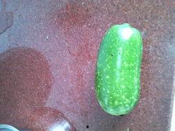 孕妇初期吃想瓜,瓜果飘香，营养满满的健康之旅