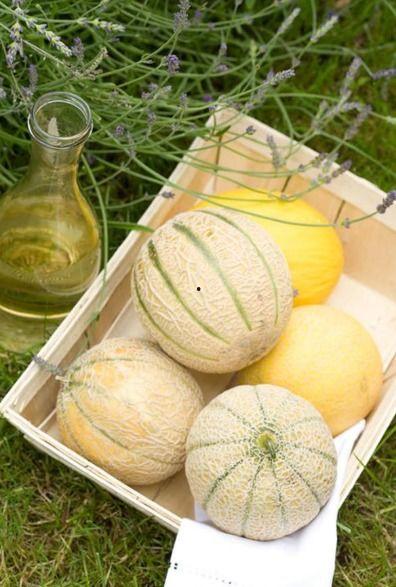 立秋送瓜给老妈吃,送瓜孝敬老妈的温馨故事