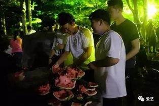 枞阳学校吃瓜事件,校园食品安全问题引发关注