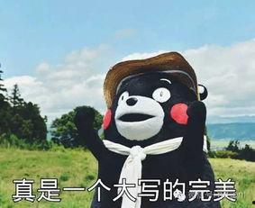 带你吃瓜我的包,“带你吃瓜我的包”背后的故事与魅力