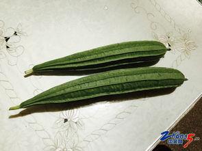 小黄兰瓜怎么吃