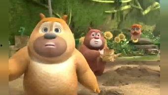 吃瓜受伤的熊,引发网友热议与反思