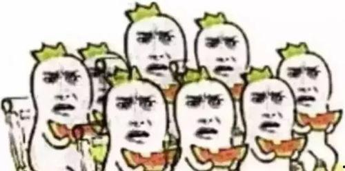 吃瓜去哪里看,吃瓜群众的最佳观瓜指南