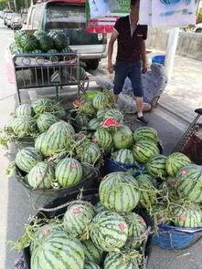 广州柳州吃瓜事件,一场网络舆论的风波与反思