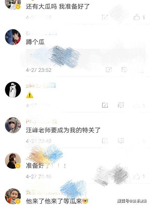 坐等吃瓜的视频,揭秘网络热门视频背后的故事