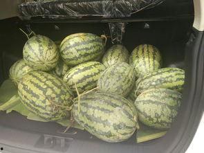 凳子吃瓜前线,揭秘娱乐圈最新热点事件