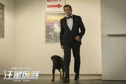 汪星卧底吃瓜,揭秘宠物界的神秘事件