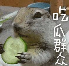 瓜哥带你吃瓜之奇葩动物,奇趣动物界的“吃瓜”众生相