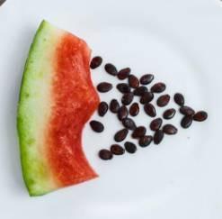 吃瓜吃籽可以吗