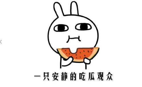 意外的吃瓜事件,揭秘娱乐圈不为人知的幕后故事