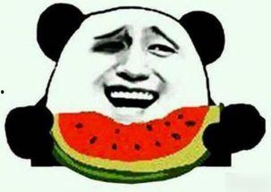 吃瓜群众吃瓜现场,吃瓜群众围观瓜界盛事