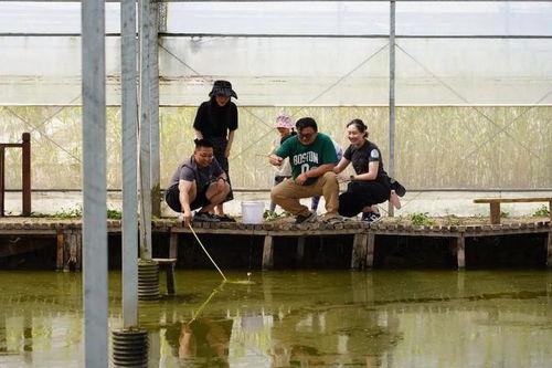 嘉定唱歌吃瓜事件,一场引发热议的街头文化冲突