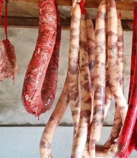 歡猪吃瓜吗,欢猪的瓜界探险记