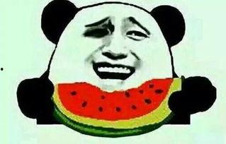 吃瓜群众看窗外,吃瓜群众视角下的窗外世界