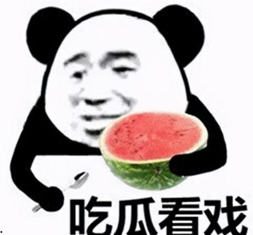 动态头像吃瓜图片